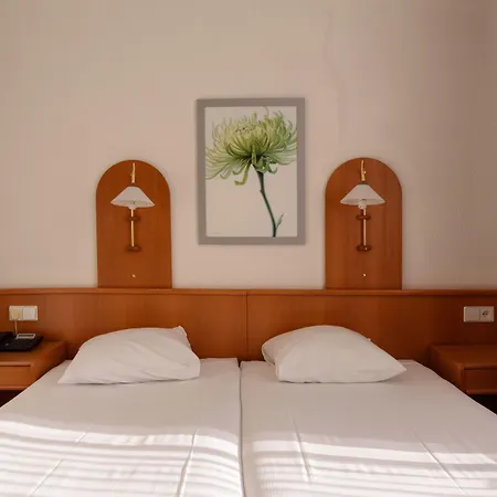 Owl Hotel-2